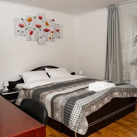 Apartament Panoramic La Casa In Comuna Rasinari Luaran gambar