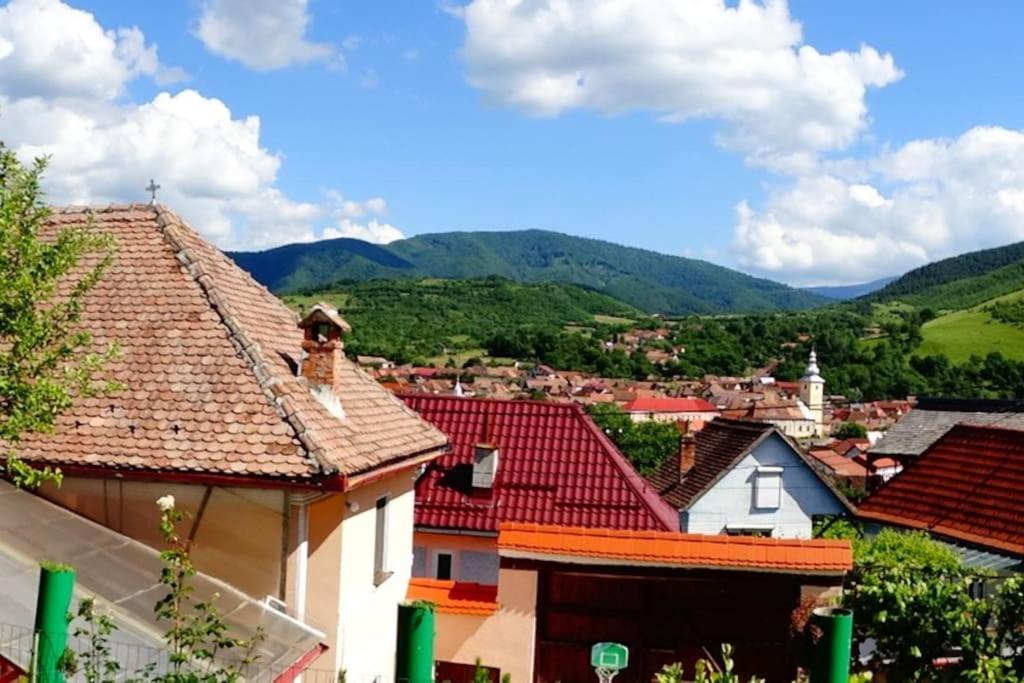 Apartament Panoramic La Casa In Comuna Rasinari Luaran gambar