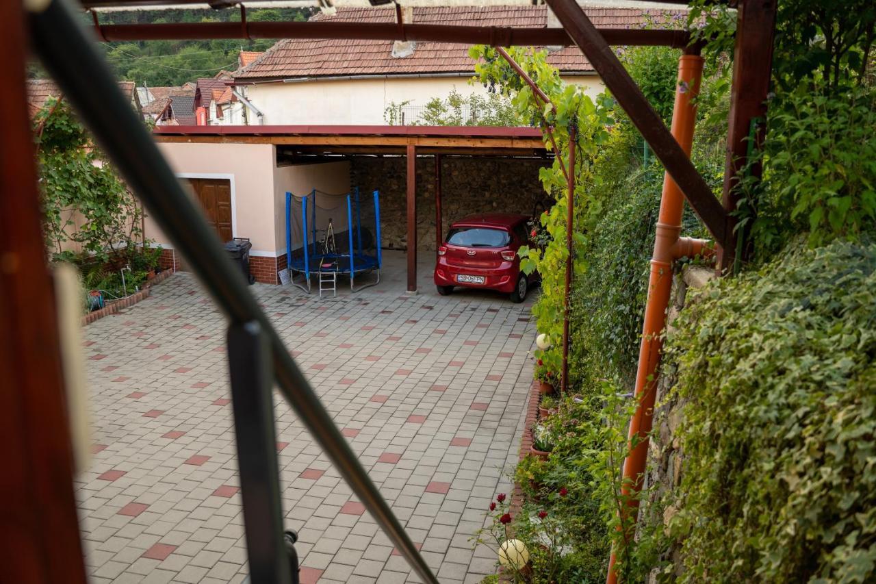 Apartament Panoramic La Casa In Comuna Rasinari Luaran gambar